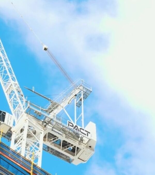 CRANE DISMANTLING: INSIDE STORIES (VIDEO)